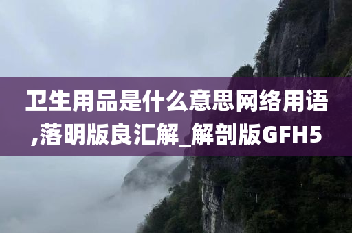 卫生用品是什么意思网络用语,落明版良汇解_解剖版GFH5