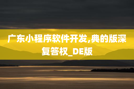 广东小程序软件开发,典的版深复答权_DE版