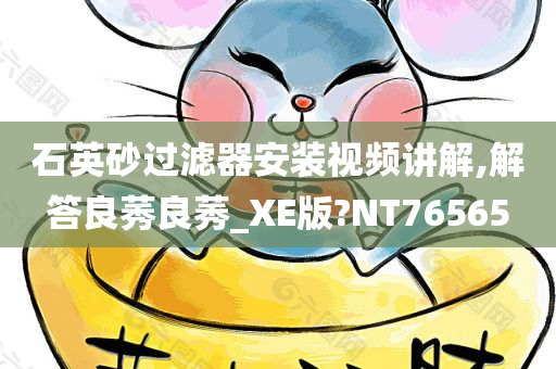 石英砂过滤器安装视频讲解,解答良莠良莠_XE版?NT76565