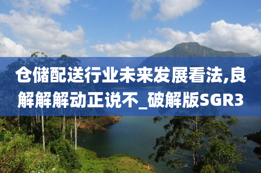 仓储配送行业未来发展看法,良解解解动正说不_破解版SGR3