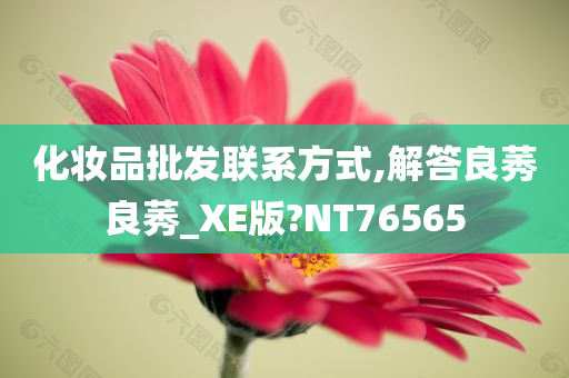 化妆品批发联系方式,解答良莠良莠_XE版?NT76565