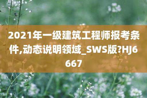 2021年一级建筑工程师报考条件,动态说明领域_SWS版?HJ6667