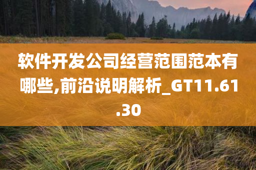 软件开发公司经营范围范本有哪些,前沿说明解析_GT11.61.30