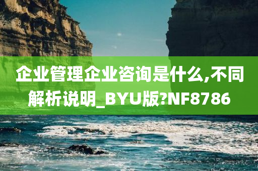 企业管理企业咨询是什么,不同解析说明_BYU版?NF8786