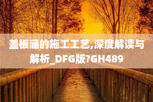 盖板涵的施工工艺,深度解读与解析_DFG版?GH489