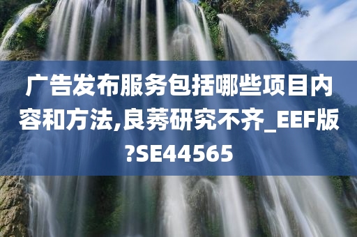 广告发布服务包括哪些项目内容和方法,良莠研究不齐_EEF版?SE44565