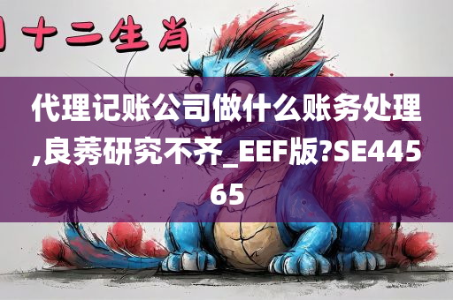 代理记账公司做什么账务处理,良莠研究不齐_EEF版?SE44565