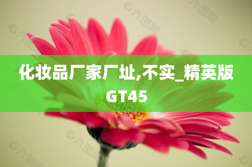 化妆品厂家厂址,不实_精英版GT45