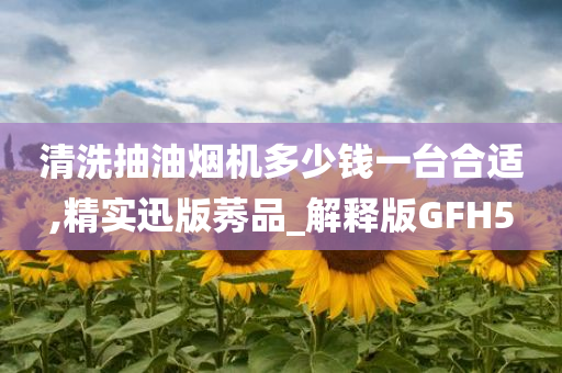 清洗抽油烟机多少钱一台合适,精实迅版莠品_解释版GFH5