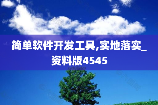 简单软件开发工具,实地落实_资料版4545