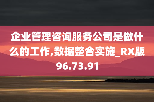 企业管理咨询服务公司是做什么的工作,数据整合实施_RX版96.73.91