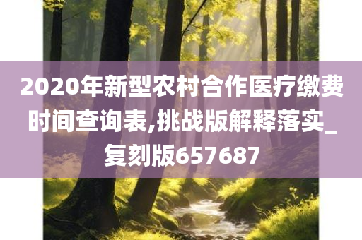 2020年新型农村合作医疗缴费时间查询表,挑战版解释落实_复刻版657687