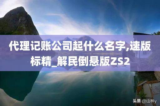 代理记账公司起什么名字,速版标精_解民倒悬版ZS2