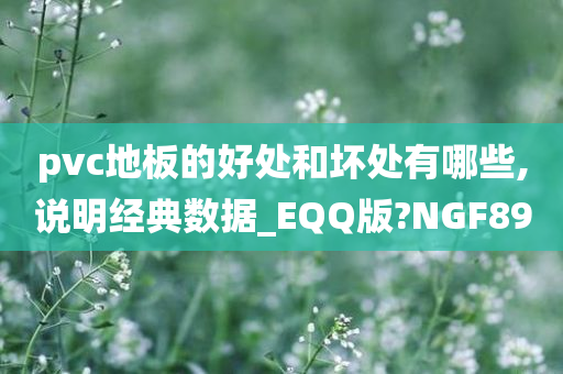 pvc地板的好处和坏处有哪些,说明经典数据_EQQ版?NGF89