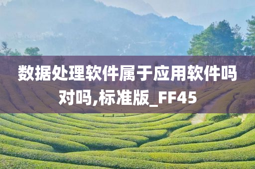 数据处理软件属于应用软件吗对吗,标准版_FF45