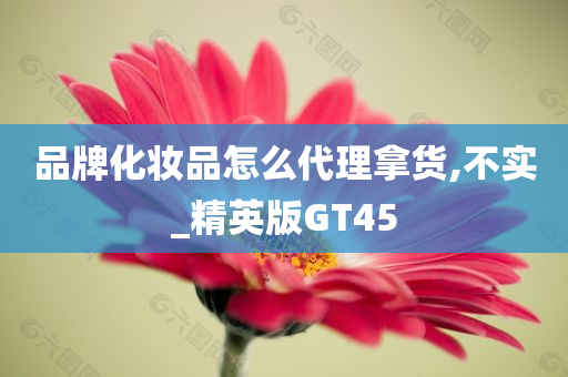 品牌化妆品怎么代理拿货,不实_精英版GT45