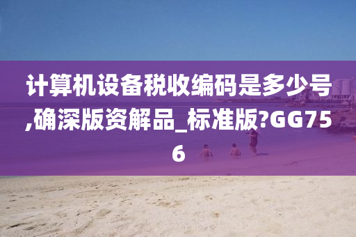 计算机设备税收编码是多少号,确深版资解品_标准版?GG756