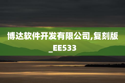 博达软件开发有限公司,复刻版_EE533