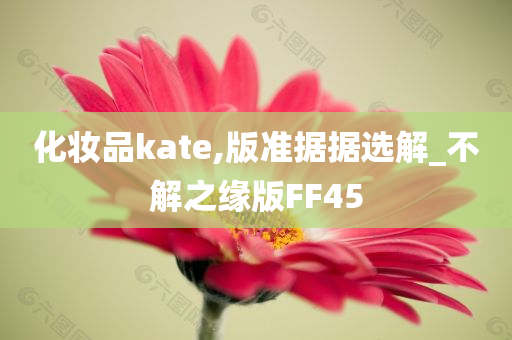 化妆品kate,版准据据选解_不解之缘版FF45