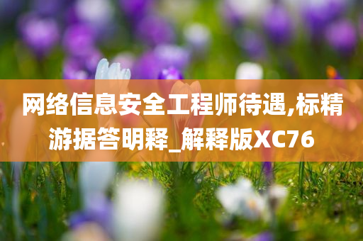 网络信息安全工程师待遇,标精游据答明释_解释版XC76