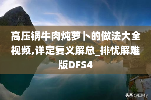 高压锅牛肉炖萝卜的做法大全视频,详定复义解总_排忧解难版DFS4