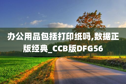 办公用品包括打印纸吗,数据正版经典_CCB版DFG56