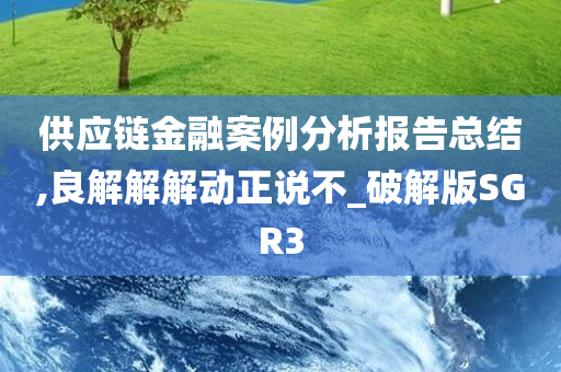 供应链金融案例分析报告总结,良解解解动正说不_破解版SGR3