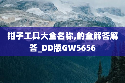 钳子工具大全名称,的全解答解答_DD版GW5656