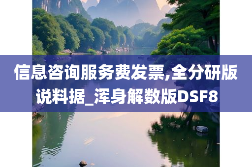 信息咨询服务费发票,全分研版说料据_浑身解数版DSF8