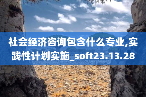 社会经济咨询包含什么专业,实践性计划实施_soft23.13.28