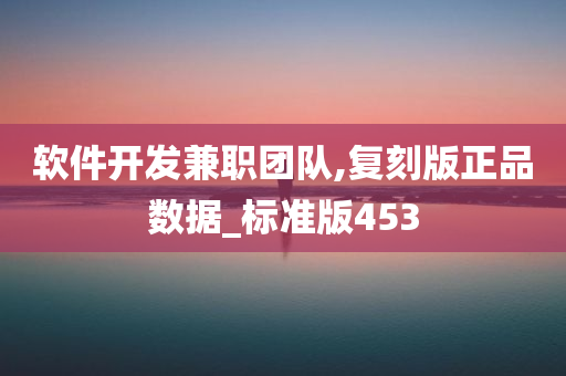 软件开发兼职团队,复刻版正品数据_标准版453