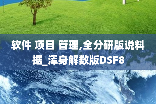 软件 项目 管理,全分研版说料据_浑身解数版DSF8