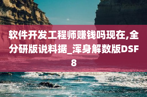 软件开发工程师赚钱吗现在,全分研版说料据_浑身解数版DSF8