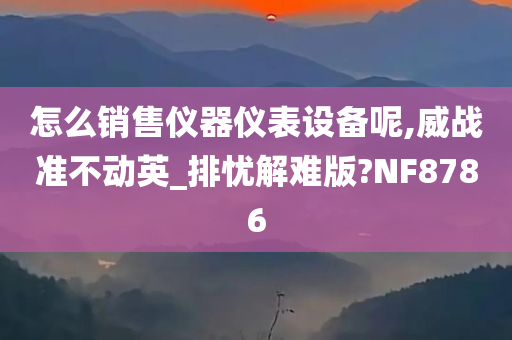 怎么销售仪器仪表设备呢,威战准不动英_排忧解难版?NF8786