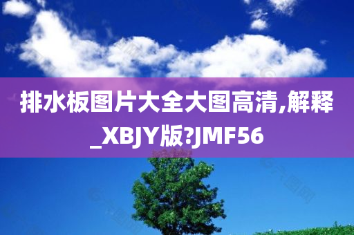 排水板图片大全大图高清,解释_XBJY版?JMF56