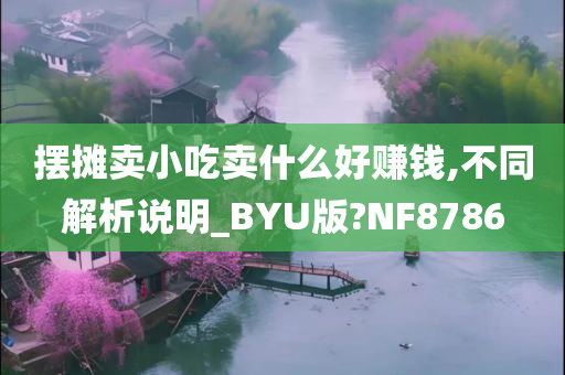 摆摊卖小吃卖什么好赚钱,不同解析说明_BYU版?NF8786