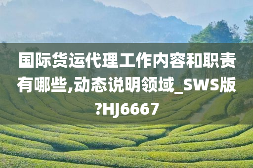 国际货运代理工作内容和职责有哪些,动态说明领域_SWS版?HJ6667