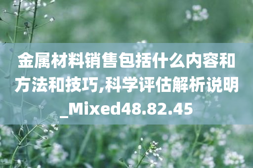 金属材料销售包括什么内容和方法和技巧,科学评估解析说明_Mixed48.82.45