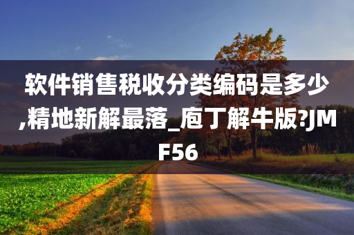 软件销售税收分类编码是多少,精地新解最落_庖丁解牛版?JMF56