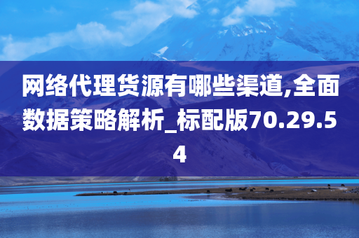 网络代理货源有哪些渠道,全面数据策略解析_标配版70.29.54