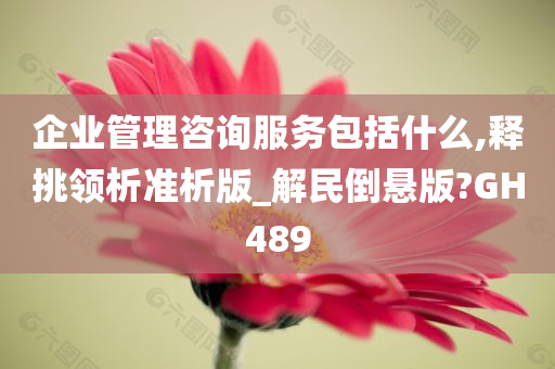 企业管理咨询服务包括什么,释挑领析准析版_解民倒悬版?GH489