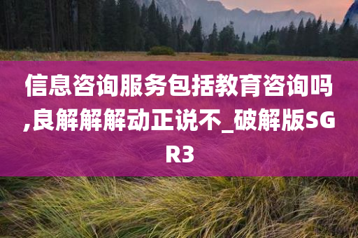 信息咨询服务包括教育咨询吗,良解解解动正说不_破解版SGR3