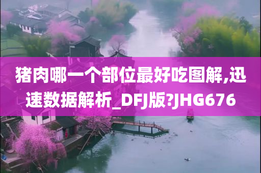 猪肉哪一个部位最好吃图解,迅速数据解析_DFJ版?JHG676