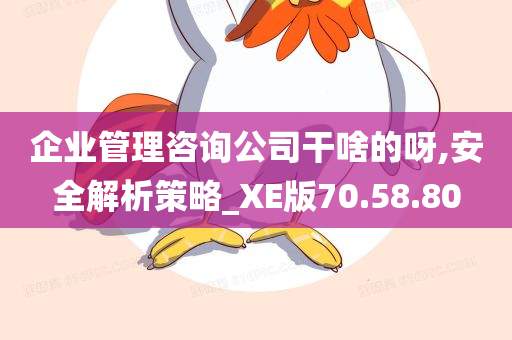 企业管理咨询公司干啥的呀,安全解析策略_XE版70.58.80