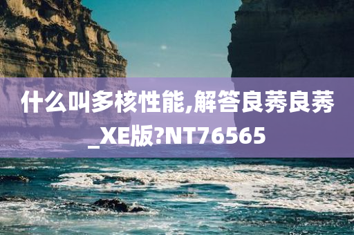 什么叫多核性能,解答良莠良莠_XE版?NT76565