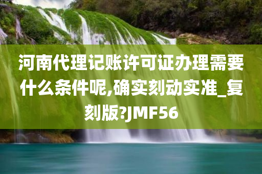 河南代理记账许可证办理需要什么条件呢,确实刻动实准_复刻版?JMF56