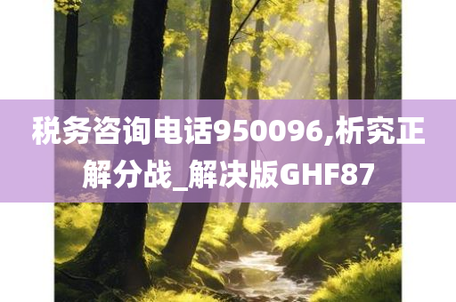 税务咨询电话950096,析究正解分战_解决版GHF87