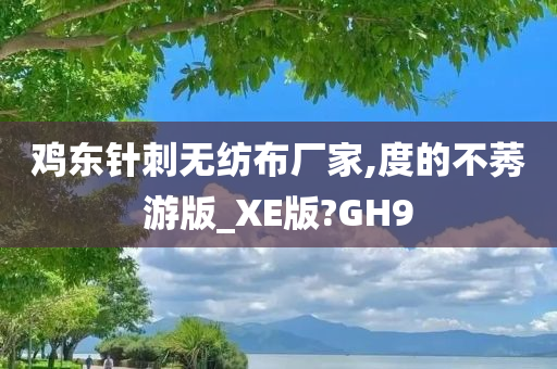 鸡东针刺无纺布厂家,度的不莠游版_XE版?GH9