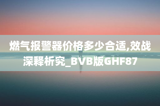 燃气报警器价格多少合适,效战深释析究_BVB版GHF87