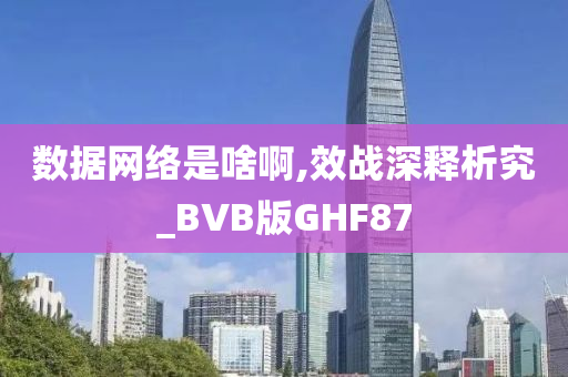 数据网络是啥啊,效战深释析究_BVB版GHF87